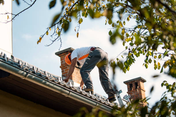 Best Shingle Roofing Installation  in Hillsboro, KS