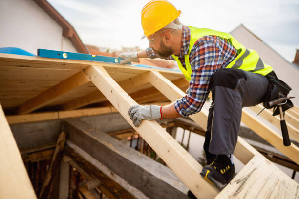 Best Roof Gutter Cleaning  in Hillsboro, KS